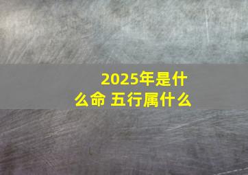 2025年是什么命 五行属什么